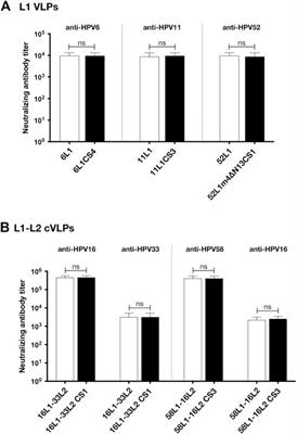 A novel C-terminal modification method enhanced the yield of human papillomavirus L1 or chimeric L1-L2 virus-like particles in the baculovirus system